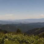 Van Life — Featured on Green Girl Gang blog!